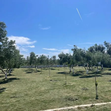 Diarla's 4 Darezeze e Re