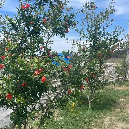 Diarla's 4 Ferienhaus Darezeze e Re