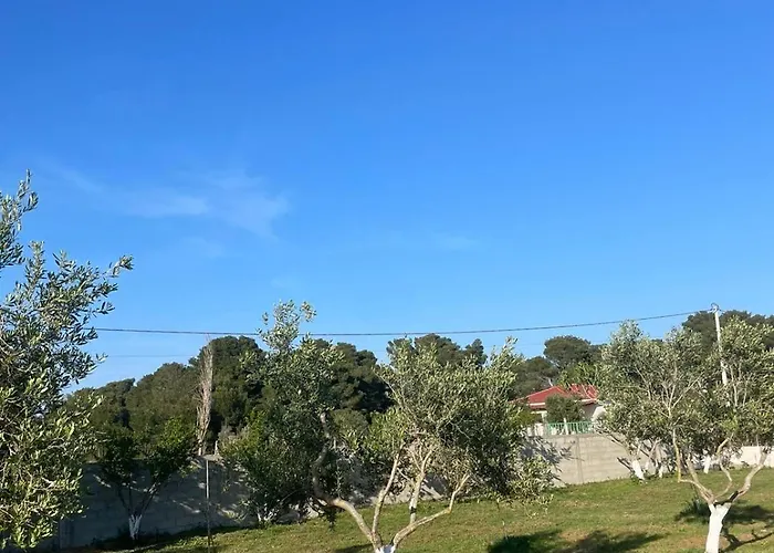 Diarla's 4 * Darezeze e Re