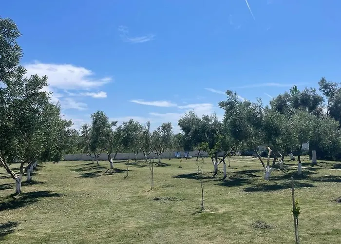 Diarla's 4 Darezeze e Re