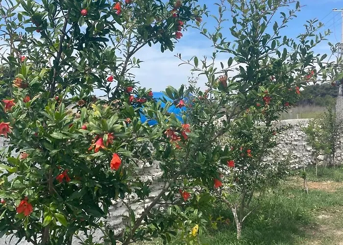 Diarla's 4 Dom wakacyjny Darezeze e Re