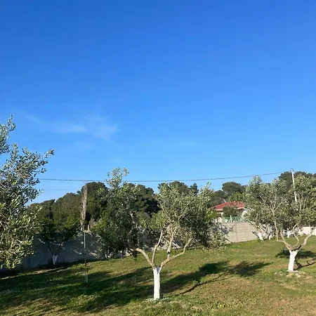 Diarla's 4 * Darezeze e Re