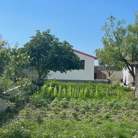 Diarla's 4 Casa vacanze