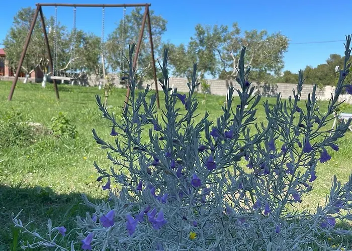 Diarla's 4 Vakantiehuis